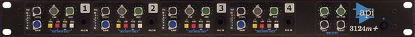 api 3124m +