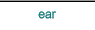 ear